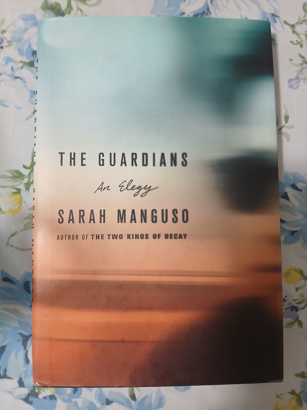 The Guardians by Sarah Manguso